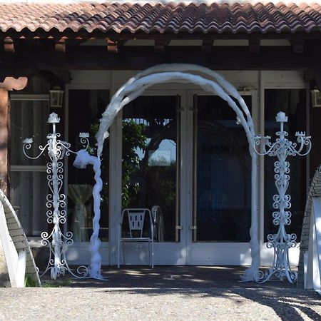 Hotel Las Casitas Del Jardin Tudela de Duero Exterior photo